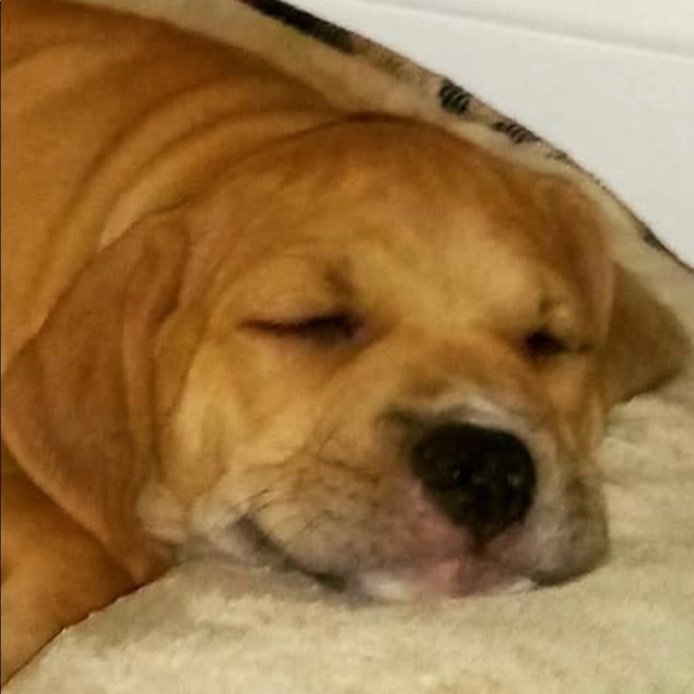 Meet your Posher, Trey